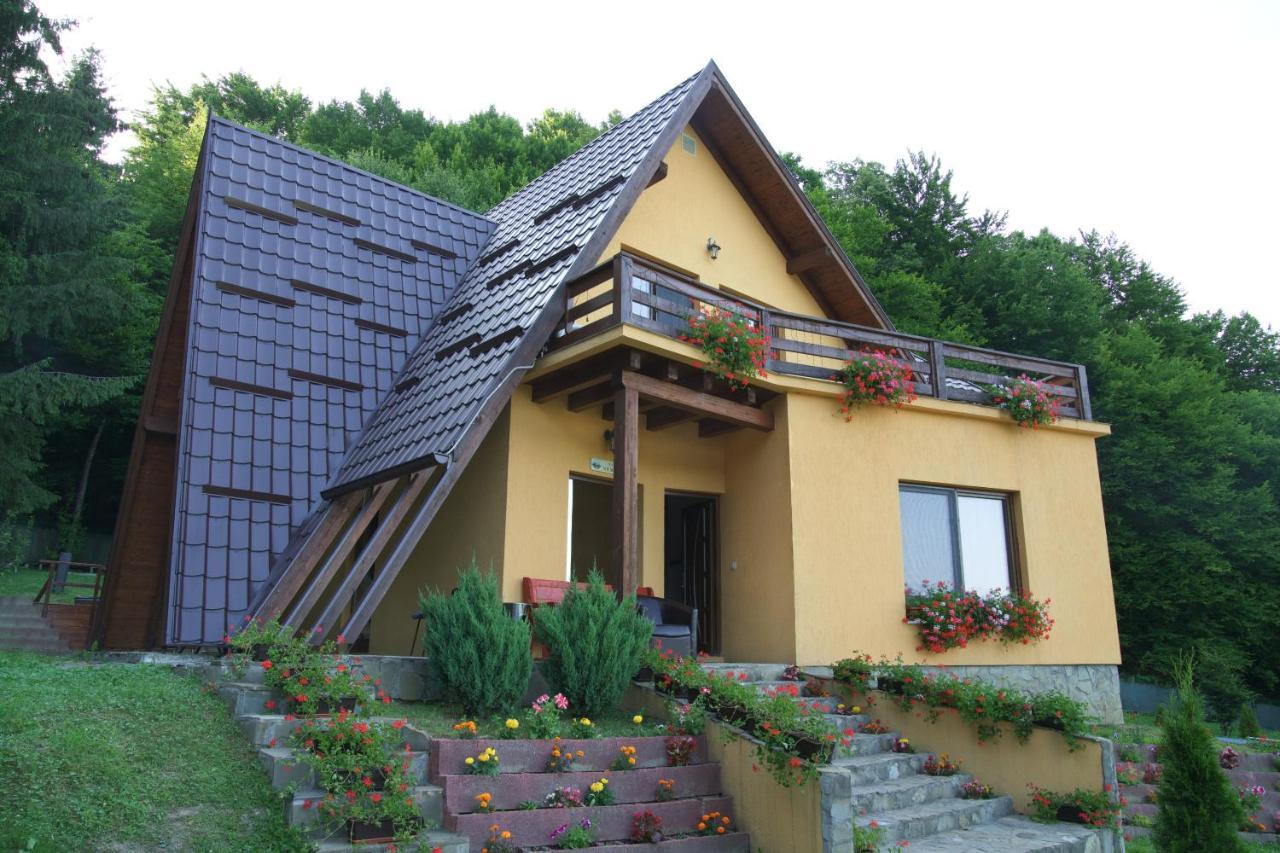 Green Property Dofteana Exterior photo